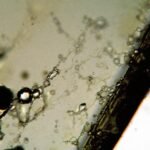 Support échantillon microscope lame : guide d'utilisation