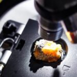 Microscope polarisant géologie minéraux : guide et utilisation