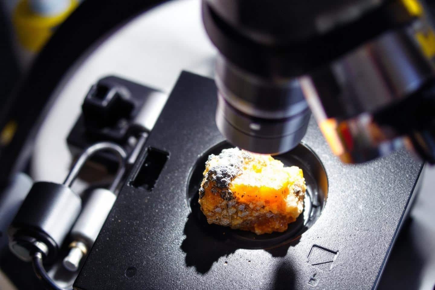 Microscope polarisant géologie minéraux : guide et utilisation