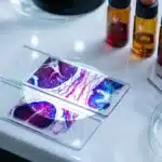 Microscope et lames histologiques colorées avec réactifs
