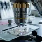 Objectif microscope ZEISS 100x observant une lame histologique